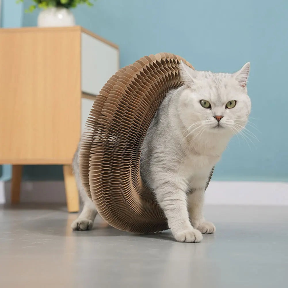 Magische Orgel Kat Krabplank - Interactief Speelgoed en Krabber voor Katten